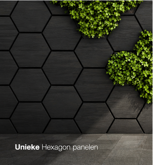 Hexagon - Akoestische wandpaneel - Zwart Eiken 80 x 65 x 2cm