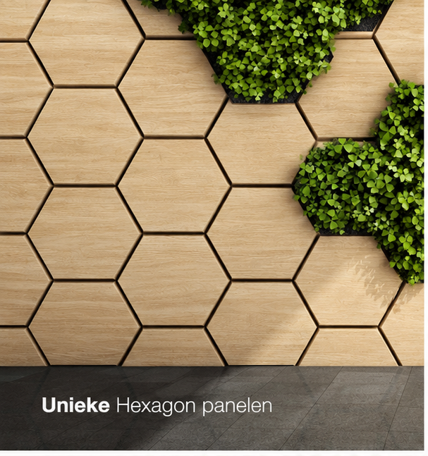 Hexagon - Akoestische wandpaneel - Naturel Eiken 80 x 65 x 2cm