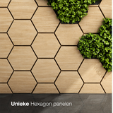 Hexagon panelen