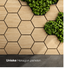 Hexagon panelen